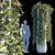 Sikkim Creeper: Exotic Vine Beauty 3D model small image 1