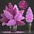 Lilac Harmony Bouquet 3D model small image 1