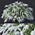 Graceful Grefsheim Spirea: Height 140cm 3D model small image 1