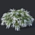 Graceful Grefsheim Spirea: Height 140cm 3D model small image 2