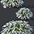 Grefsheim Spirea: Beautifully Detailed and Versatile 3D model small image 2