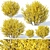 Lush Forsythia Bush Collection 3D model small image 1