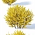 Lush Forsythia Bush Collection 3D model small image 2