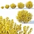 Lush Forsythia Bush Collection 3D model small image 3