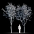 NextGen Urban Greenery: Street_Tree_v2 3D model small image 2