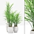 Natural Oasis Bamboo Palm Set 3D model small image 1