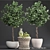 Fresh Citrus Lime Plant Collection 3D model small image 3