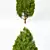 Vibrant Mediterranean Cypress Shrub 3D model small image 2