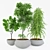 Lush Greenery Set 3D model small image 1