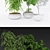 Lush Greenery Set 3D model small image 2