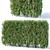 Forsythia Hedge Collection 3D model small image 2