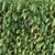 Forsythia Hedge Collection 3D model small image 3