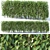 Forsythia Summer Hedge - 120cm 3D model small image 1