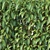 Forsythia Summer Hedge - 120cm 3D model small image 3