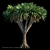 Majestic Draco Dragon Tree 3D model small image 1