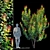 Cotinus Golden Spirit Multi Stem 3D model small image 1