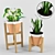 Title: Botanical Trio with Pot & Stand 3D model small image 1