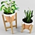Title: Botanical Trio with Pot & Stand 3D model small image 2