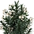 Exotic Nerium Oleander Tree - Plant Collection 271 3D model small image 2