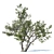 Realistic Deciduous Tree: High-quality 3D Model 3D model small image 1