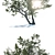 Realistic Deciduous Tree: High-quality 3D Model 3D model small image 2