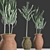 Olive Plants with Clay Pot 3D model small image 1