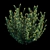 Essential Bush Kit 3D model small image 2