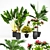 Tropical Plant Collection: V-Ray Models 3D model small image 1