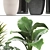 Exotic Plant Collection: Monstera, Alocasia, Rhapis Excelsa 3D model small image 2