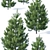 Optimized Young Pine Trees 3D model small image 2