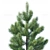 Optimized Young Pine Trees 3D model small image 3