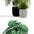 Verdant Vibes: Plant Collection 138 3D model small image 2