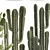 Exotic Cactus Collection: 7 Unique Varieties 3D model small image 2