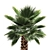 Exotic Palm Collection. Indoor Bliss. 3D model small image 2