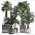 Exotic Palm Collection. Indoor Bliss. 3D model small image 3