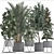 Exotic Indoor Plants: Schefflera, Oleander, Howea, Kentia, Monstera 3D model small image 3