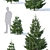  Majestic Fir Trees | 6 Sizes | Detailed & Versatile 3D model small image 3