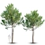 Urban Oasis: Street Tree Set 3D model small image 1