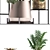 Exotic Plant Collection: Bromeliads, Monstera, Zamioculcas 3D model small image 2