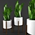 3D Sansevieria Plant with Stand 3D model small image 1