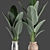 Tropical Bliss: Banana Palm Planter Set 3D model small image 2