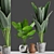 Tropical Banana Palm Plant with Vintage Pot 3D model small image 1