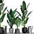 Tropical Plant Collection: Paradise, Monstera, Banana Palm - 125 Varieties 3D model small image 1