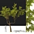 Glossy Gleditsia Tree Sculpture 3D model small image 1