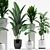 Colorful Plant Collection - 127 Varieties 3D model small image 1