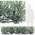 Evergreen Leucophyllum Hedge 2000x500x500 3D model small image 1
