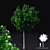 Fastigiate Rowan Tree | Sorbus aucuparia | 3D Model 3D model small image 1