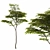High-Poly 3D Tree Model 3D model small image 1