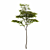 High-Poly 3D Tree Model 3D model small image 2