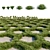 Lush Mondo Grass: Dual Corona Setup 3D model small image 1